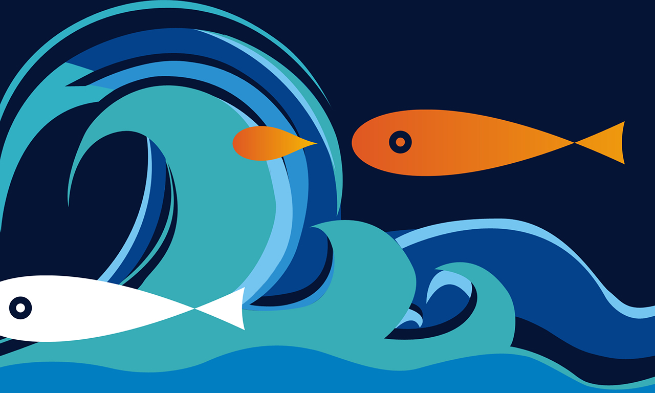 深圳高端企業LOGO設計,品牌VI設計，企業VI升級,卡通IP設計,吉祥物設計,網站設計,畫冊設計,包裝設計