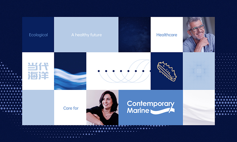 VI升級怎么做？