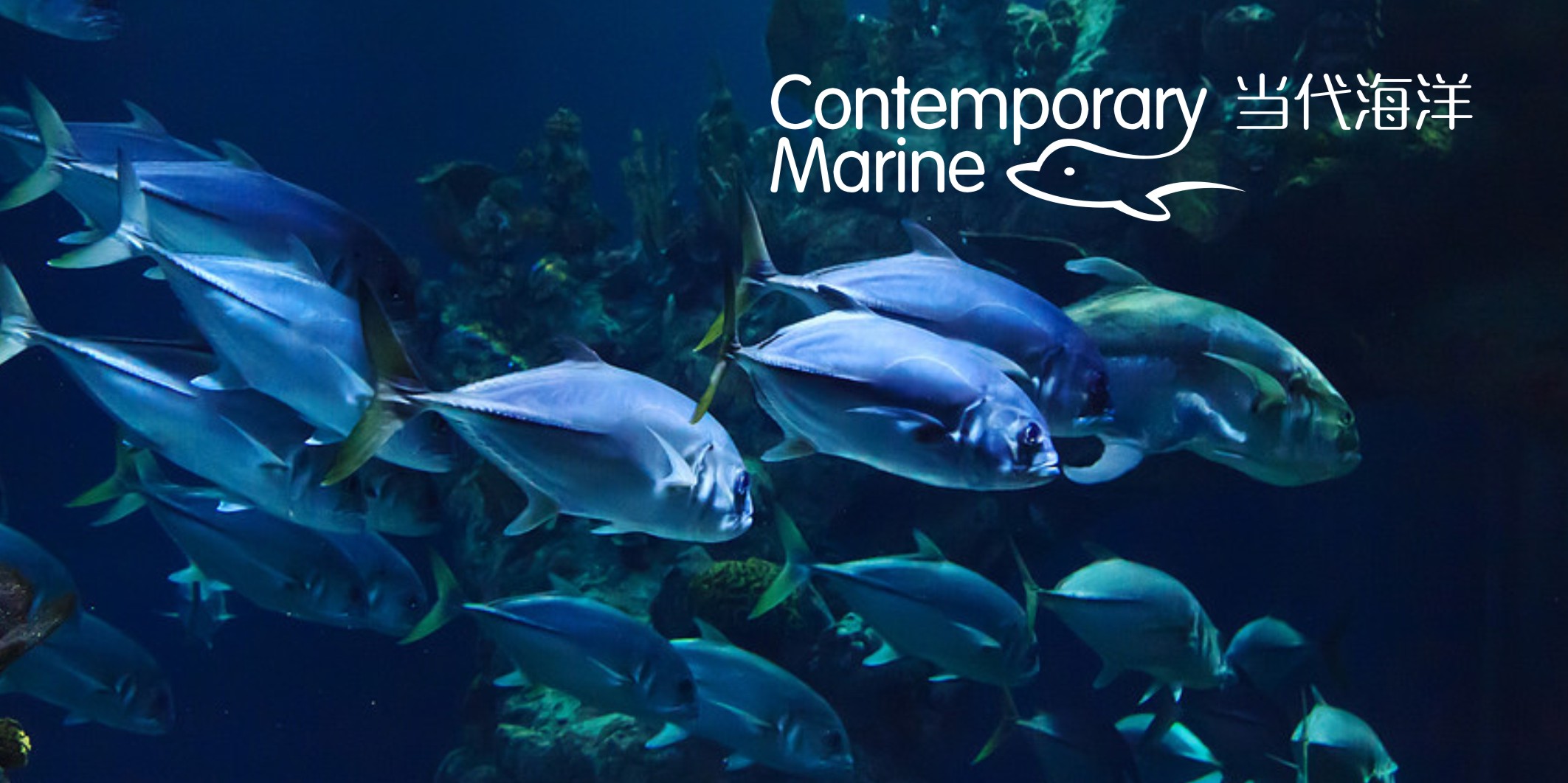 7天完成品牌升級(jí)！微型VI設(shè)計(jì)全流程解析