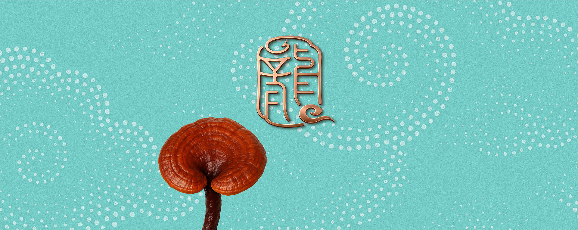 龍溪谷品牌包裝策劃設(shè)計(jì)，品牌定位，logo設(shè)計(jì)